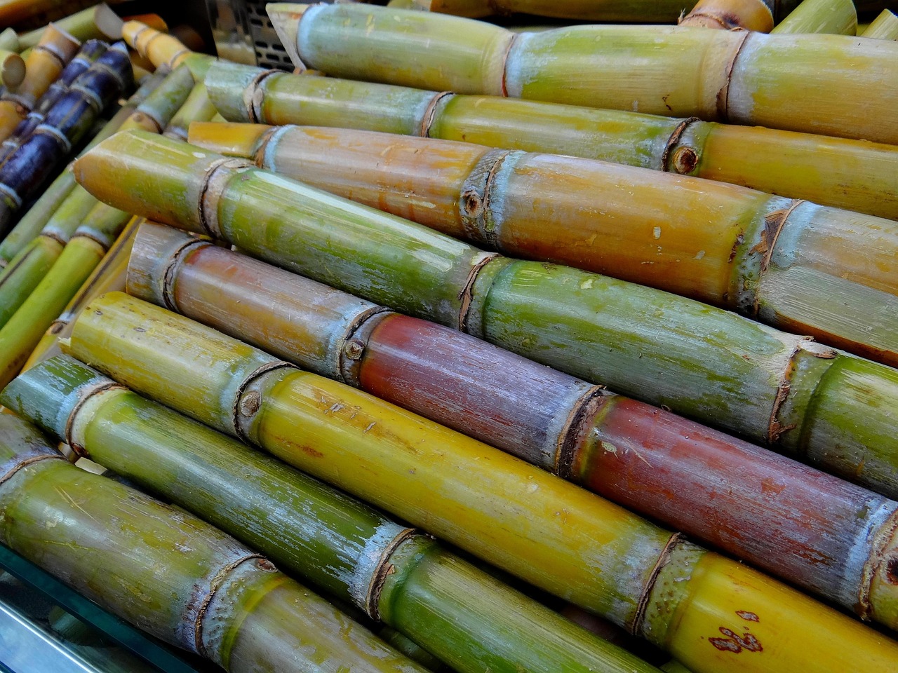 entdecken sie alles über zucker: herkunft, verwendung, auswirkungen auf die gesundheit und tipps für einen bewussten umgang mit zucker im alltag.